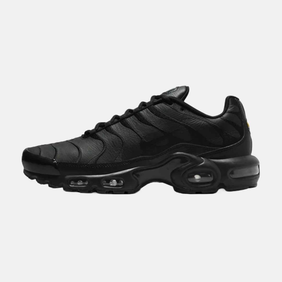 Nike Air Max Plus TN 'Triple Black'